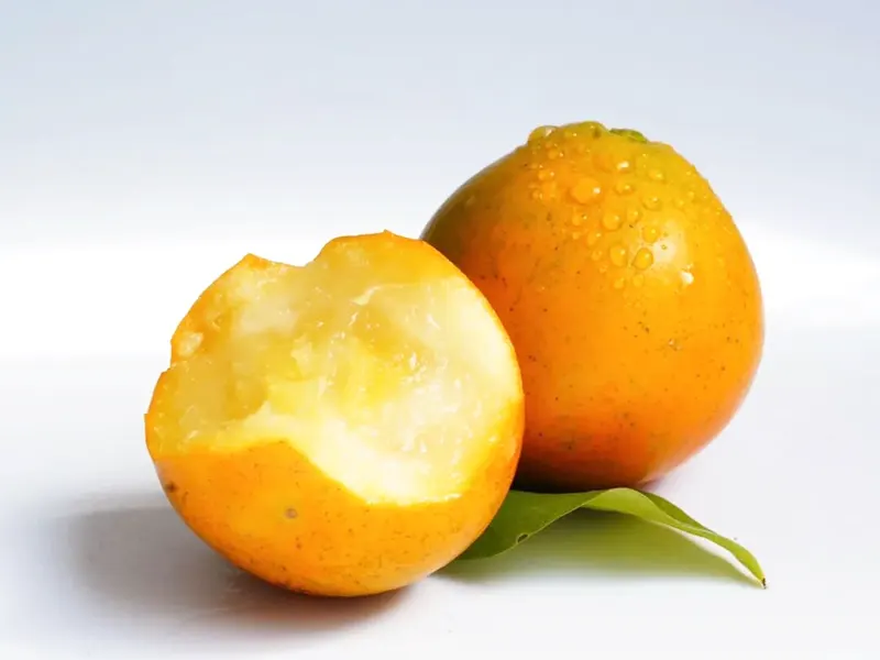 Rong’an Kumquat6